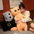 d50a8e713fc4297bbc9ce81b1663b56a.jpg