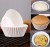 6bee9ac3464bb18a2716aaa8815c7432.jpg