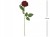 6fffe5aeec1916b6c104860bc354b6ef.jpg