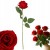 d8cddf60403a8c7a7c07909f68eedf33.jpg