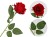 a149b6561c23f59b91e1beadaa976862.jpg
