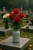 959d6bf29a7ee2167dfab73c06a44bc2.jpg