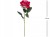 3c2334adfe54bd8614ebce8e26ab2622.jpg