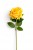 2dbbd65d581aac504ff85b3a8cd8d19b.jpg