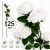 494fdd851d380d4a4b3a7a1fe8743cc5.jpg