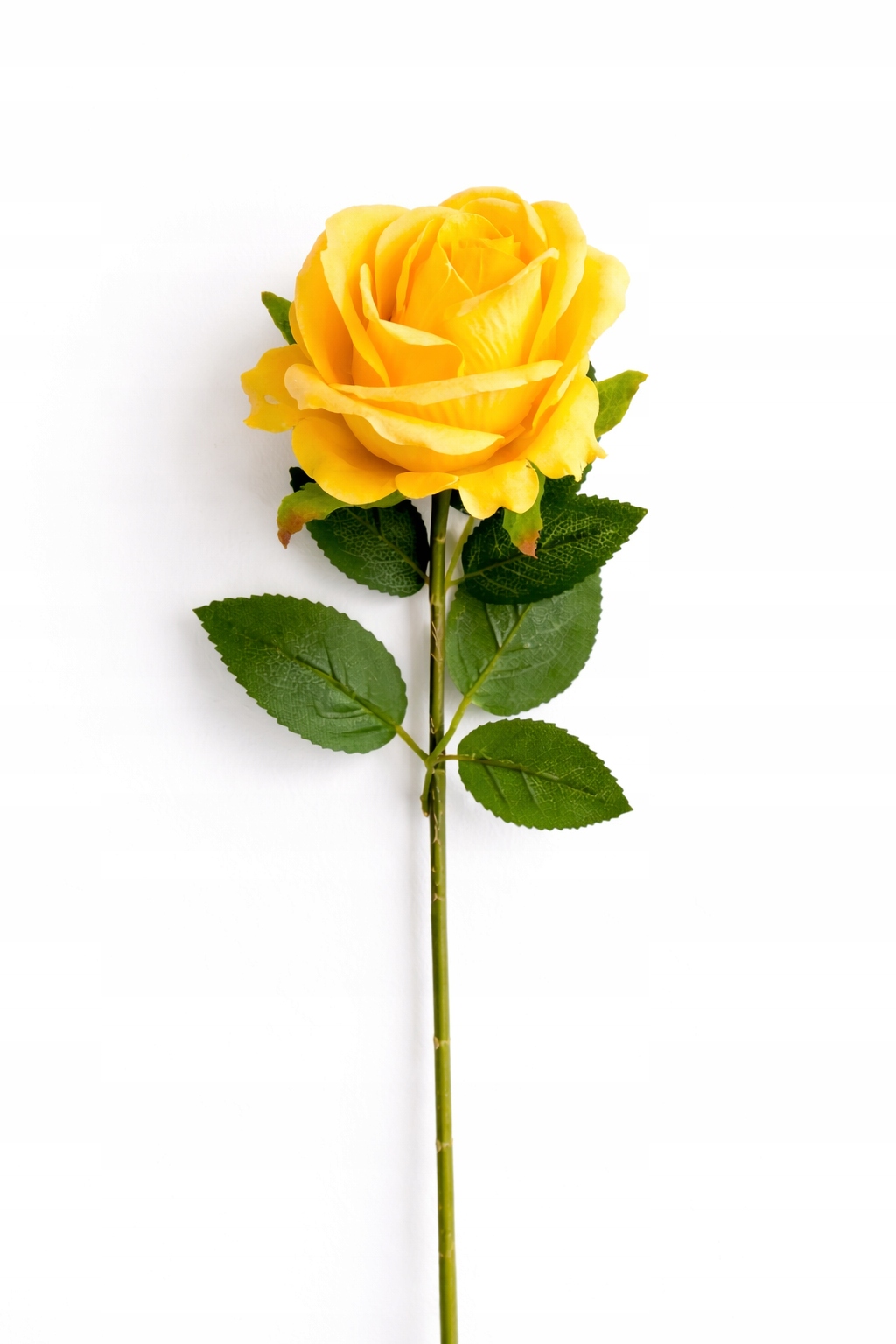 2dbbd65d581aac504ff85b3a8cd8d19b.jpg