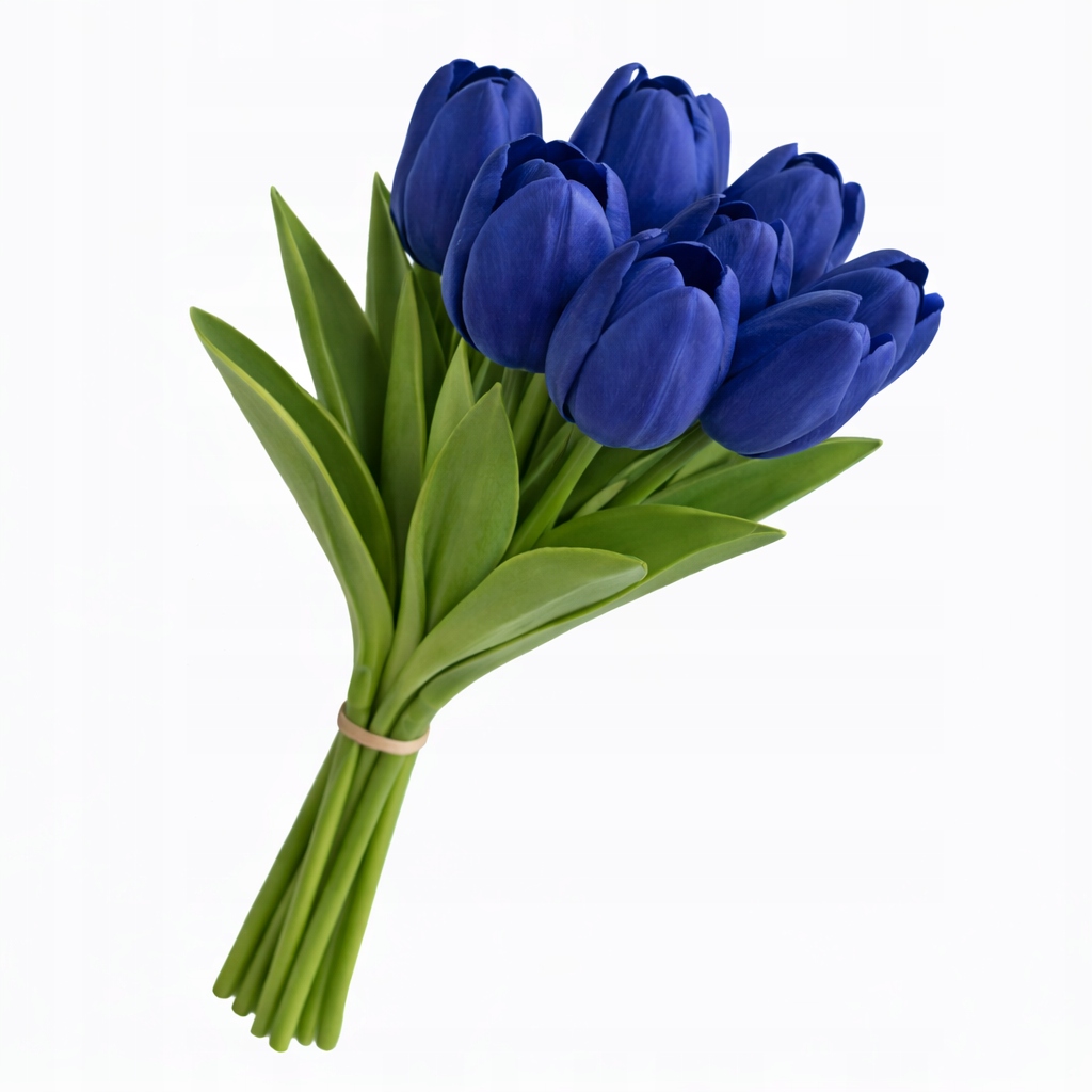 32f97dda83fb25c4bc9a5d01228227ae.jpg